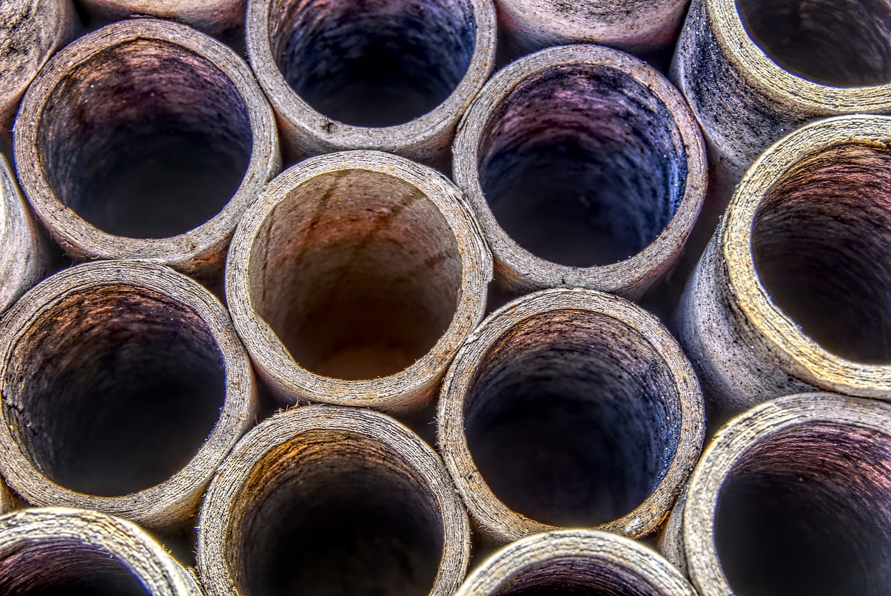 趣步app最新动态,创新科技引领健康潮流新体验