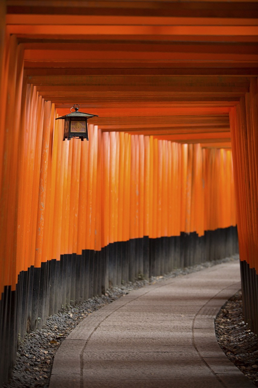 证监会最新动态解读,市场影响分析与信息解读报告