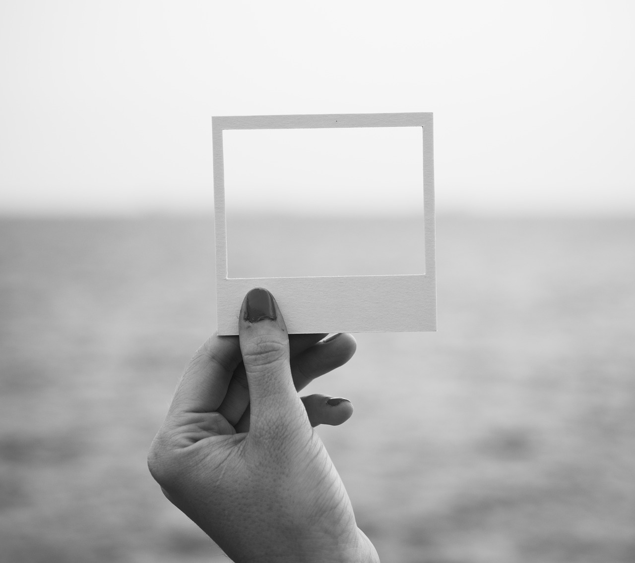 肖战最新画作揭秘,探索艺术新境界的旅程