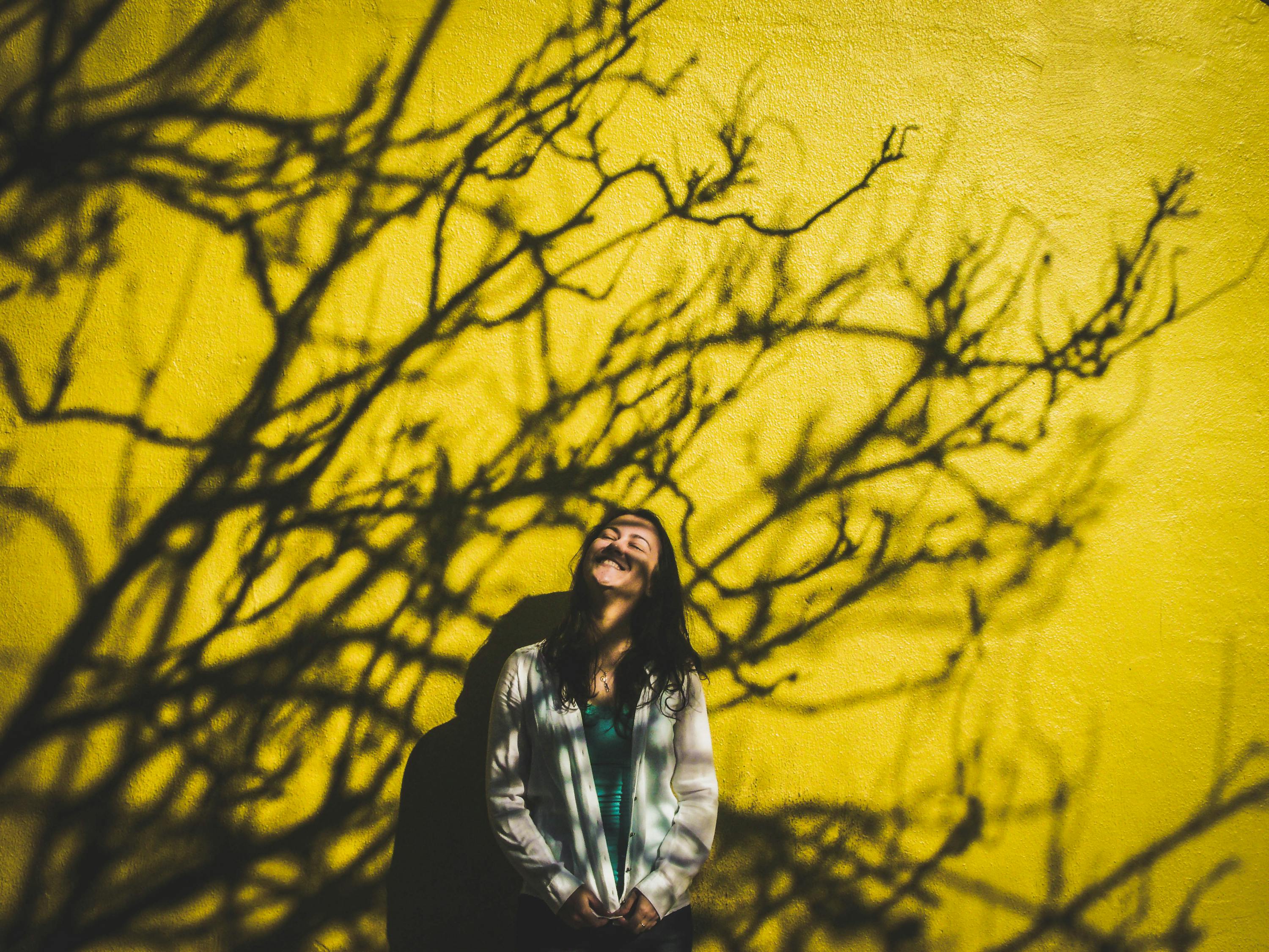 2019年最新动漫概览,热门作品一网打尽