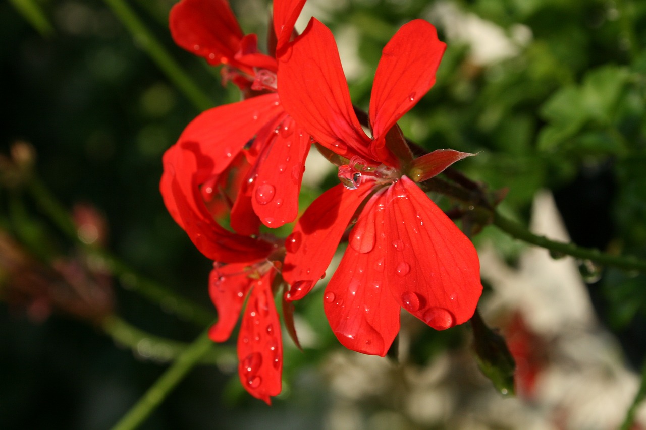 今年科技趋势与时尚潮流的新动态