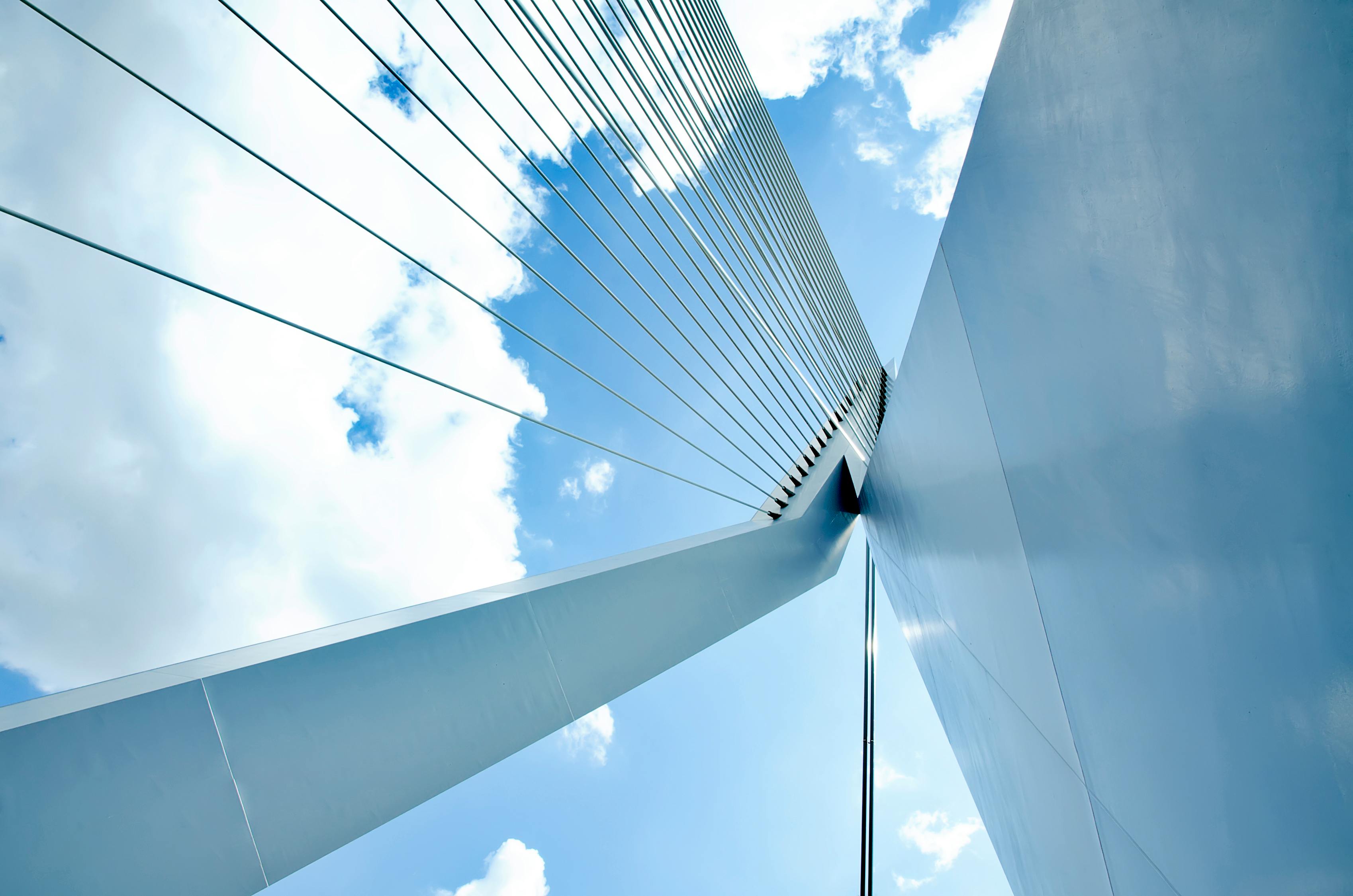 心肺最新探索,现代医学进步与未来展望