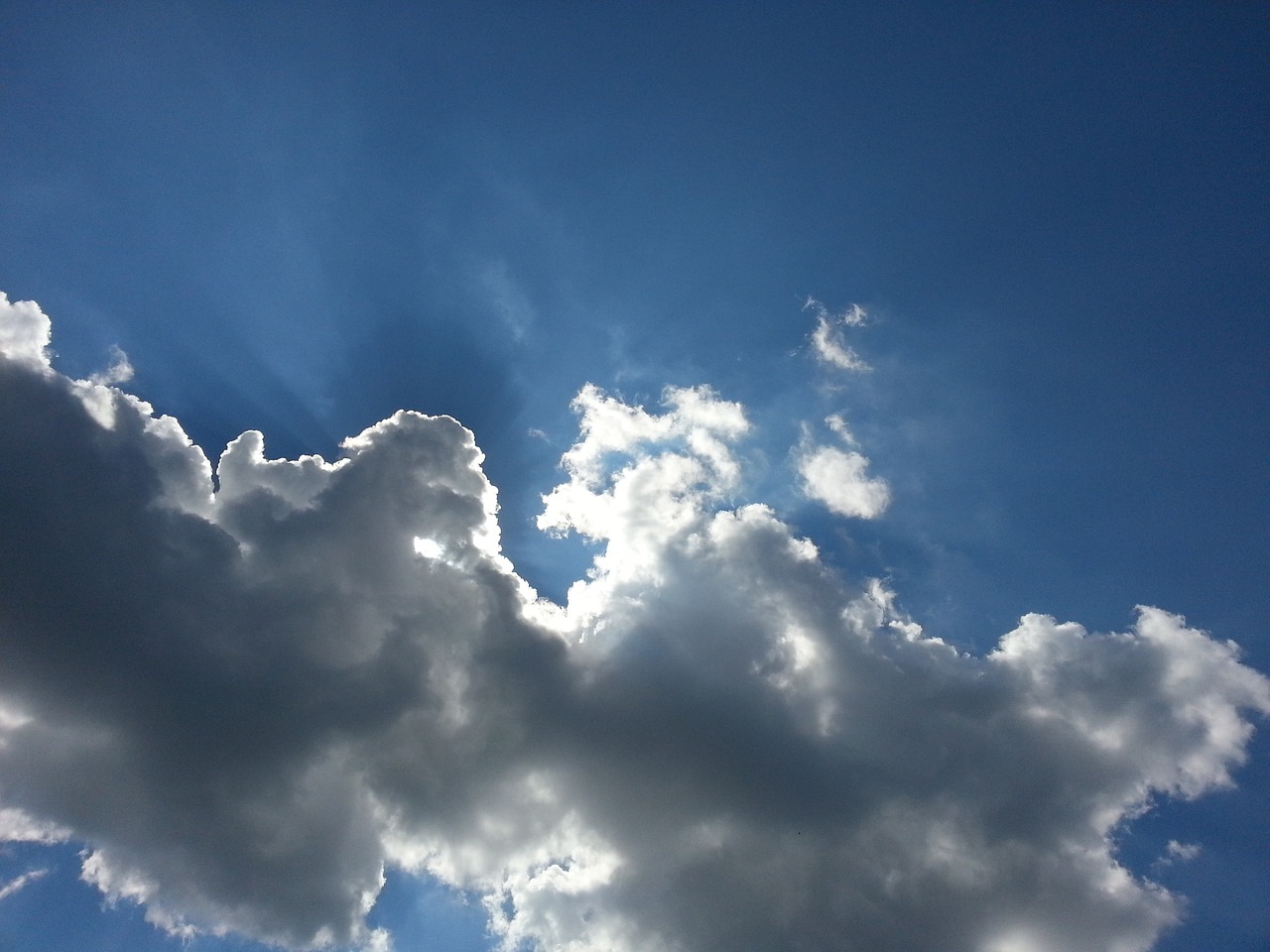 美国谷歌最新疫情动态概览