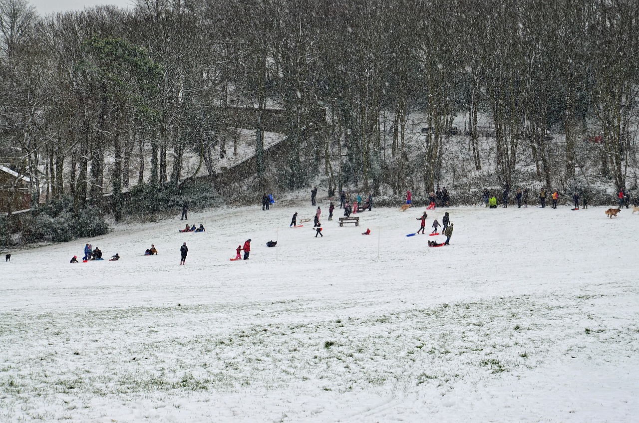 金刚川电影最新动态与深度解读，揭秘电影最新进展与深度剖析
