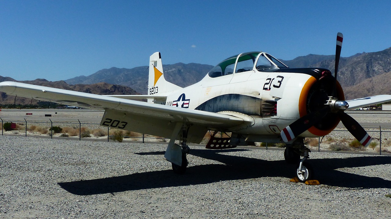 中国持续增强国防实力,展现大国担当,最新军事动态概览