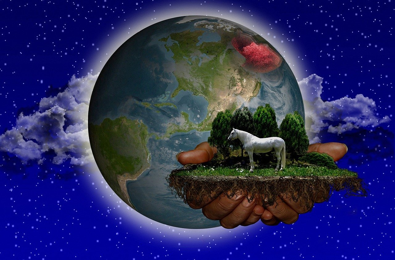 2024澳门特马今晚开奖图纸,实时解析洞察_云共享模式QT50.46.31