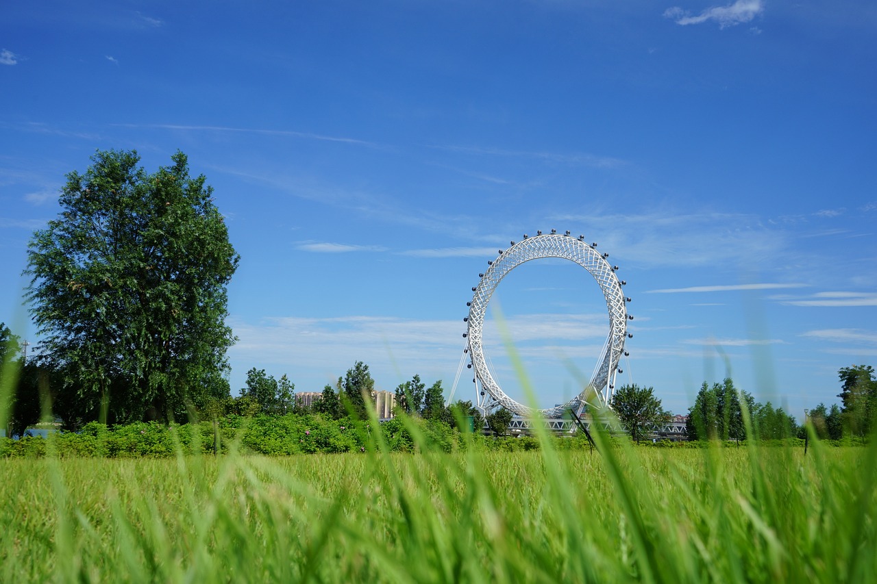 虹桥枢纽重塑上海面貌,最新动态与发展展望