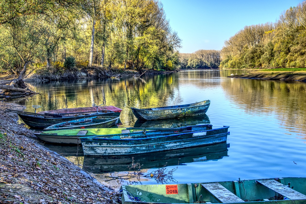 揭秘高刘发展,最新动态展现崭新篇章