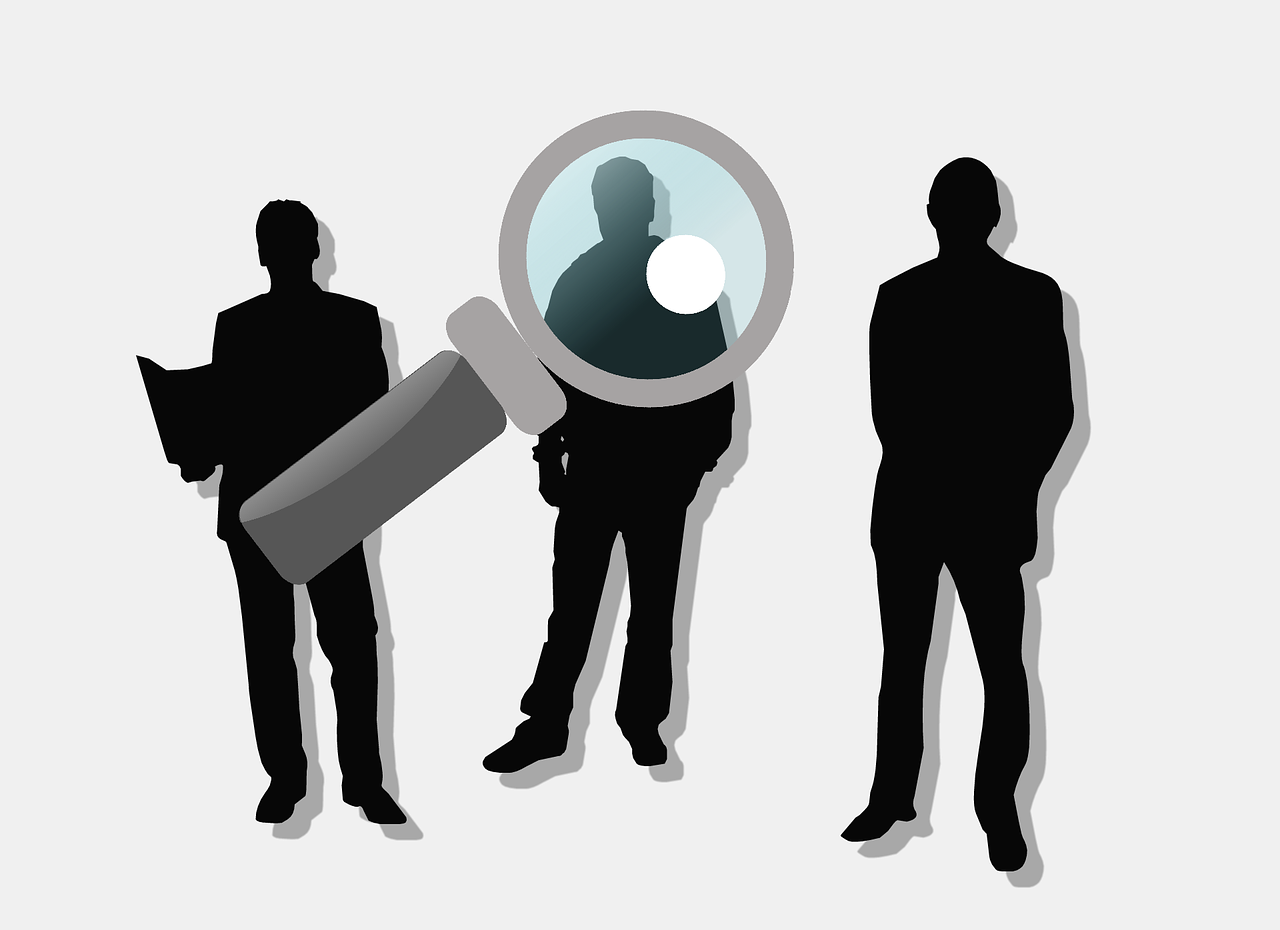 2024正版资料免费公开,动态数据洞察_探索者专属版HC88.48.83