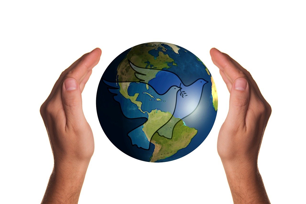 紫雨飘影 第41页