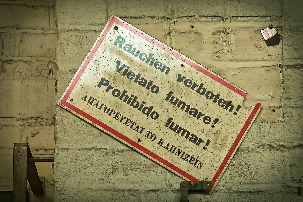 2024澳门天天开好彩大全正版,快速推进实施中_快递版453.174.51