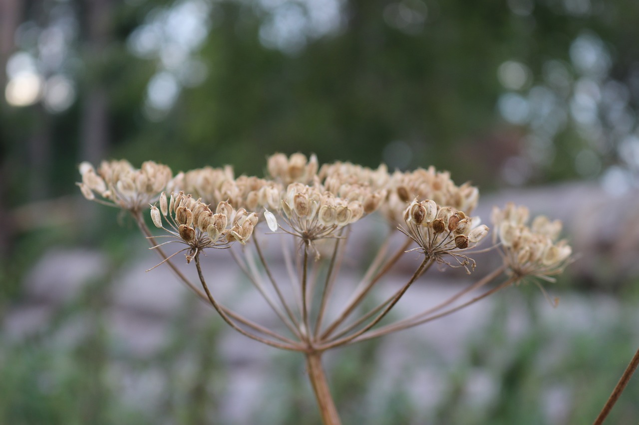 畅易阁最新动态及特色解析