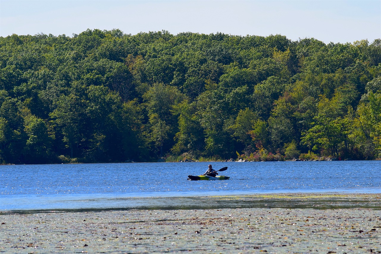 岗集最新信息概览,全面解读最新动态