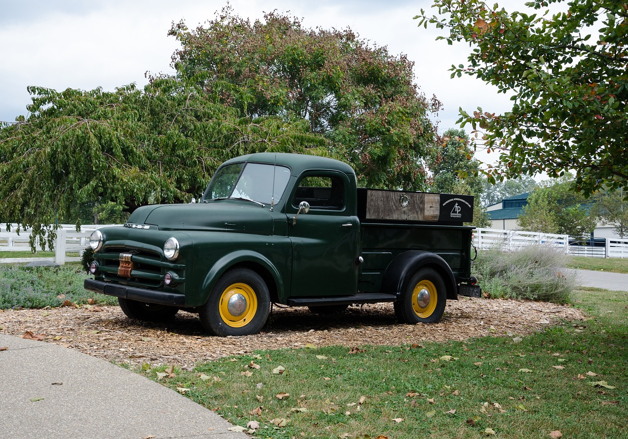 岗集最新信息概览,全面解读最新动态