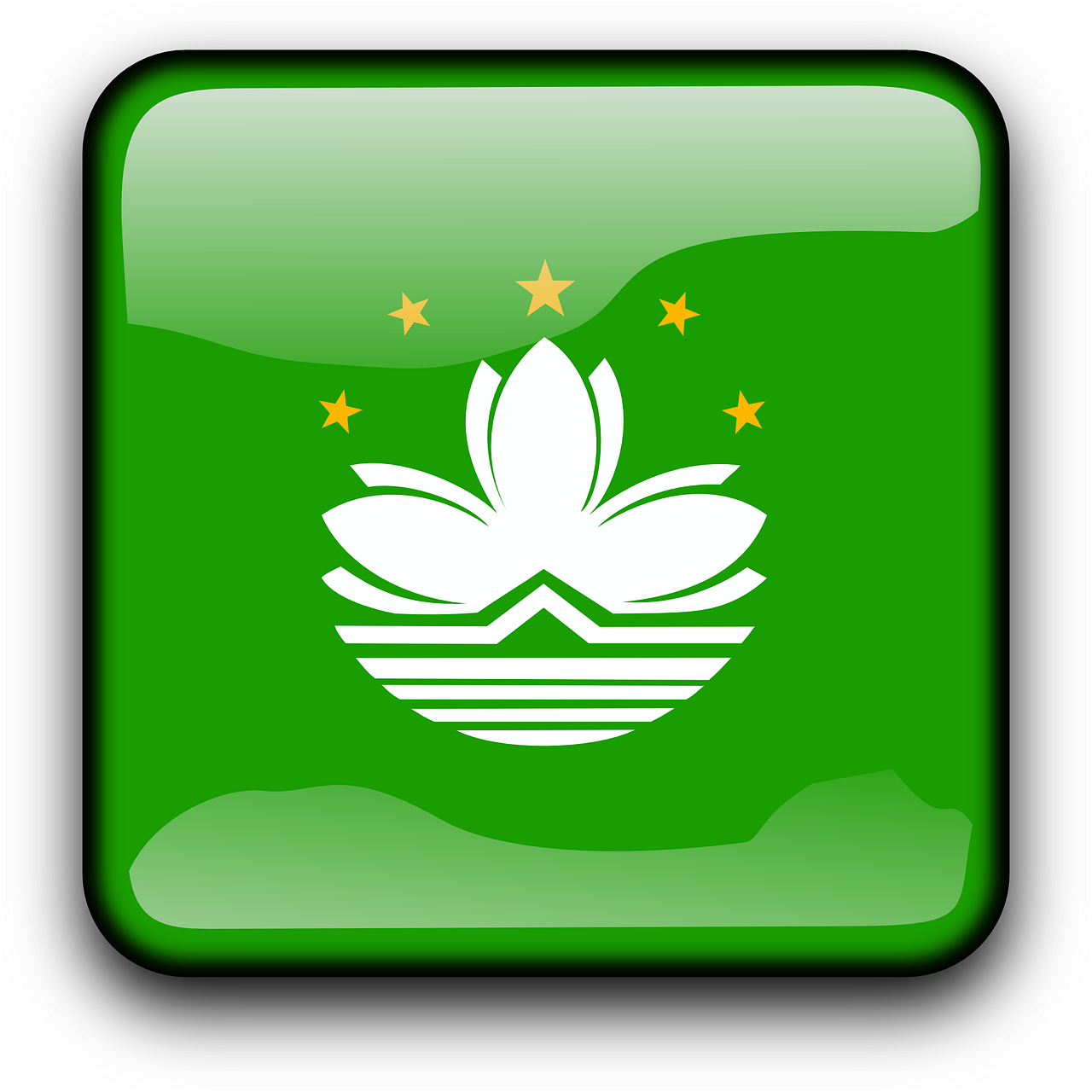 新澳2024今晚开奖结果,操作执行之可靠路径_远光升级版DA728.9703E