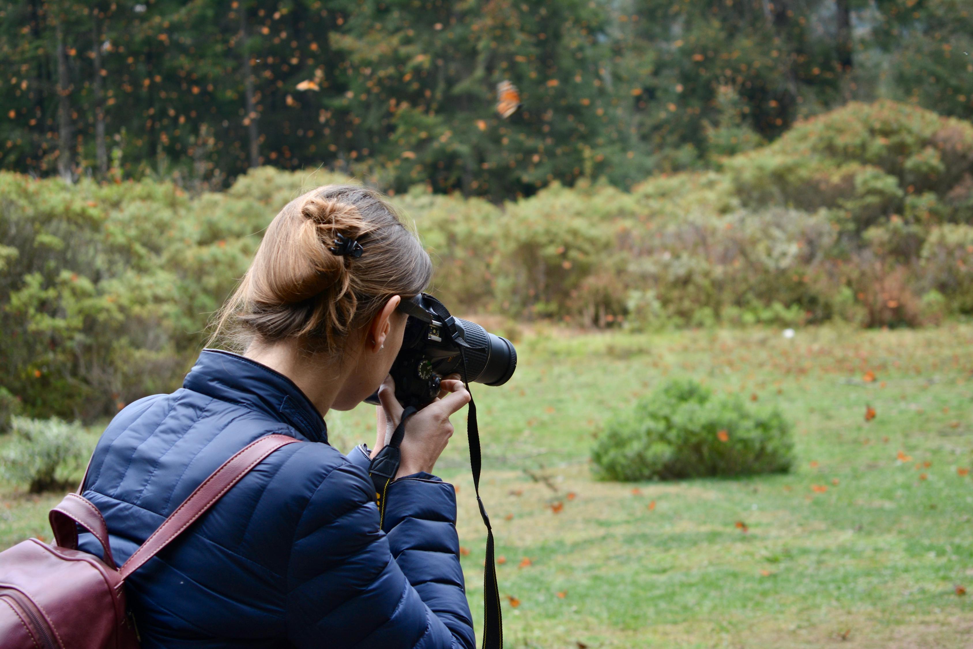 那笔小新最新电影,探索之旅与影迷期待