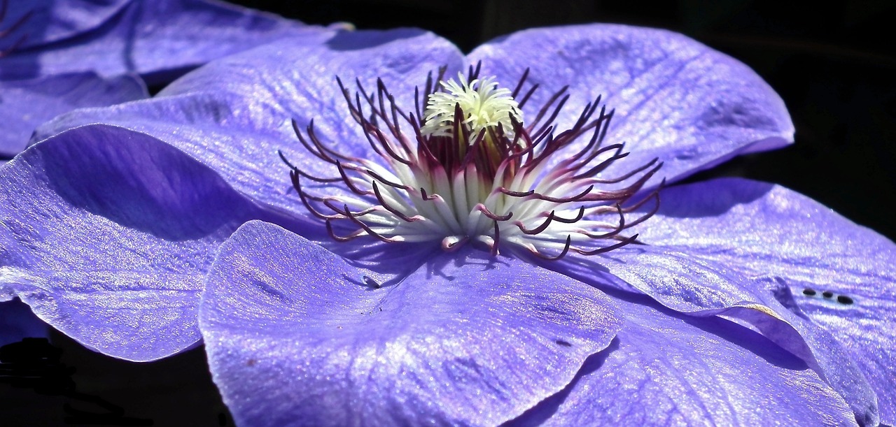 2024新澳门今晚开特马直播,动态更新解读介绍_定制版LO18.74.3