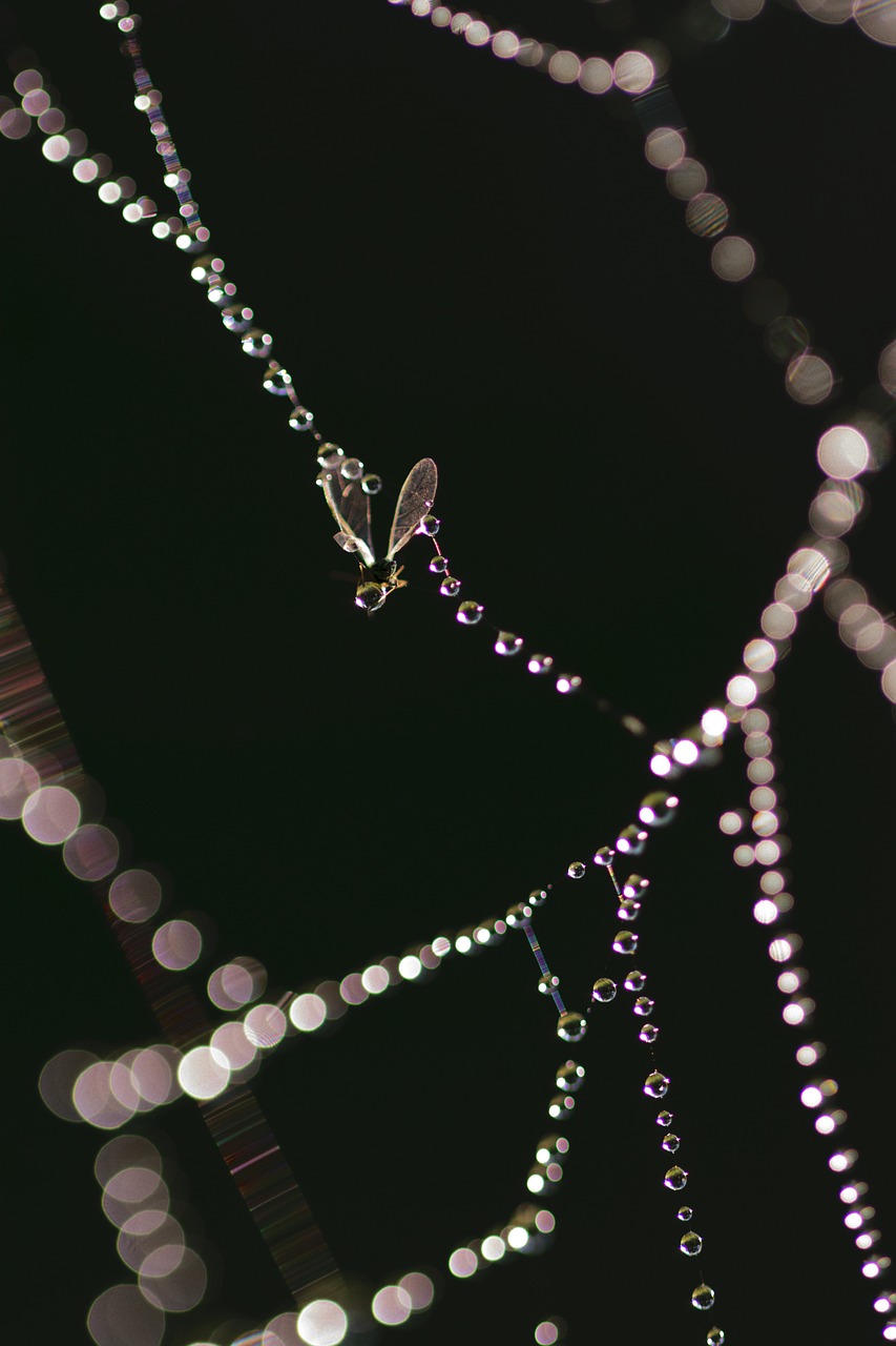 2024澳门今晚开特,科学剖析精解阐释_视听盛宴版GU2467.8775