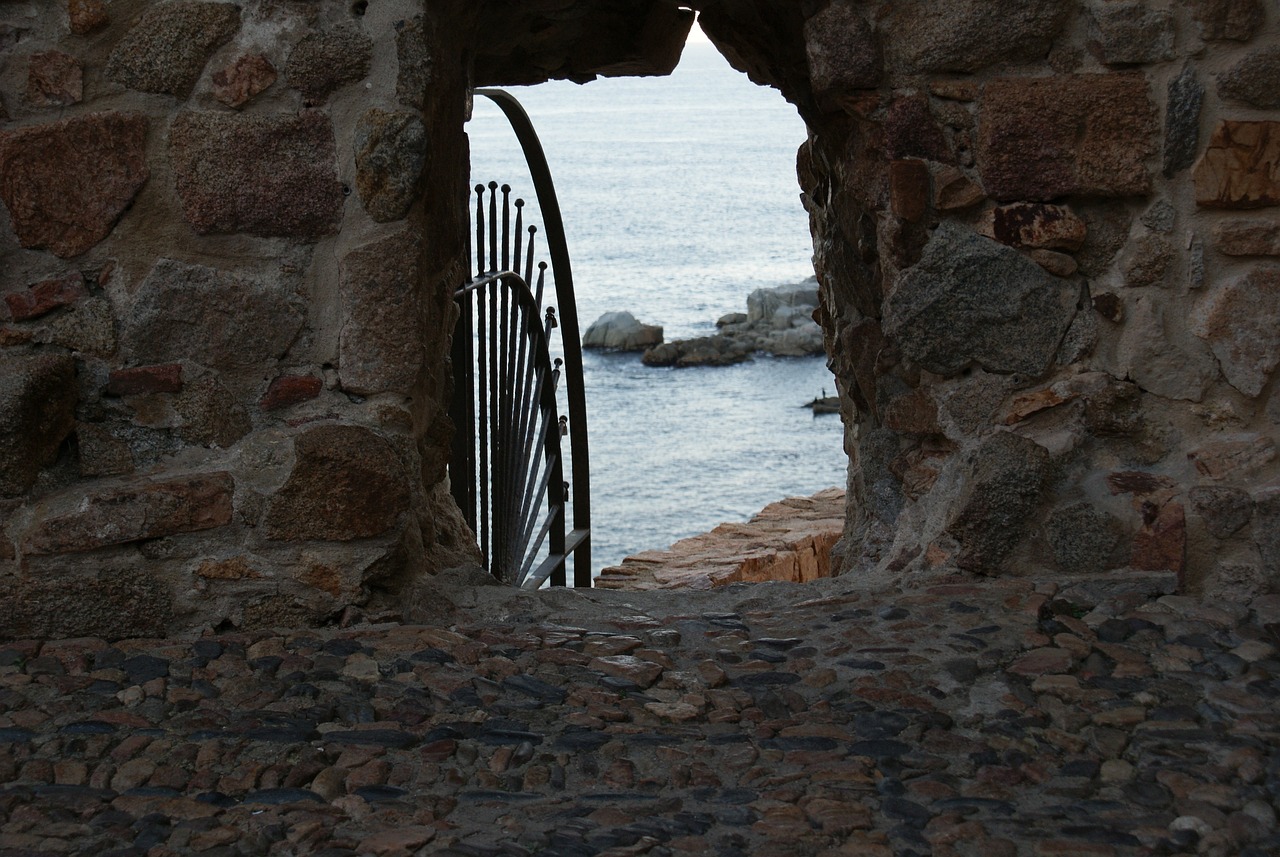 最新章节死亡,探索未知的彼岸之旅