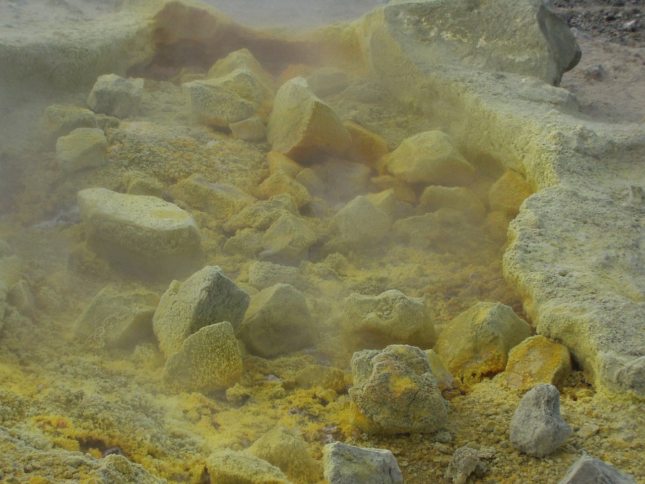 关于限籍令的最新动态，最新限籍令及其影响分析