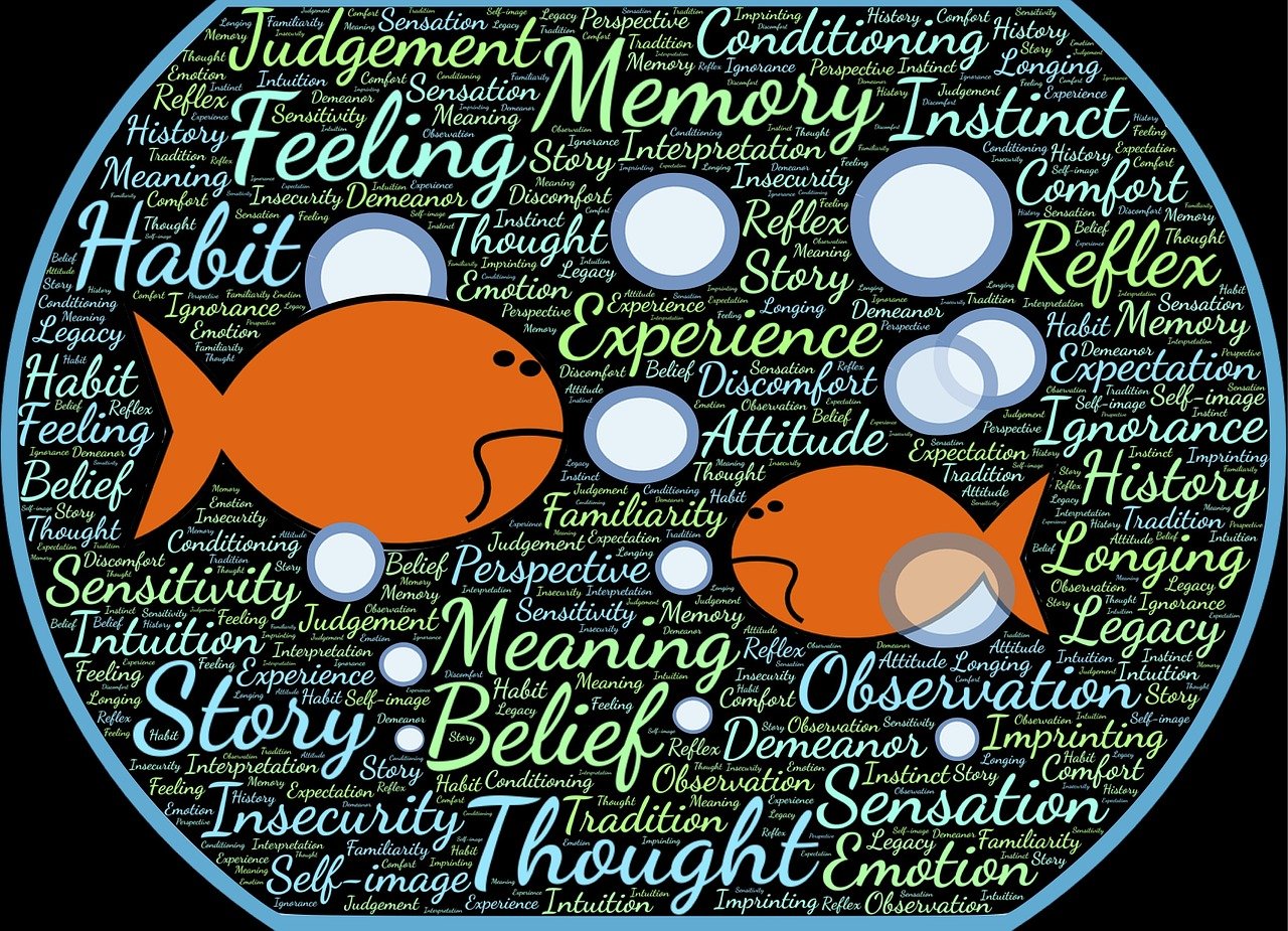 最新高考形势下的挑战与机遇分析