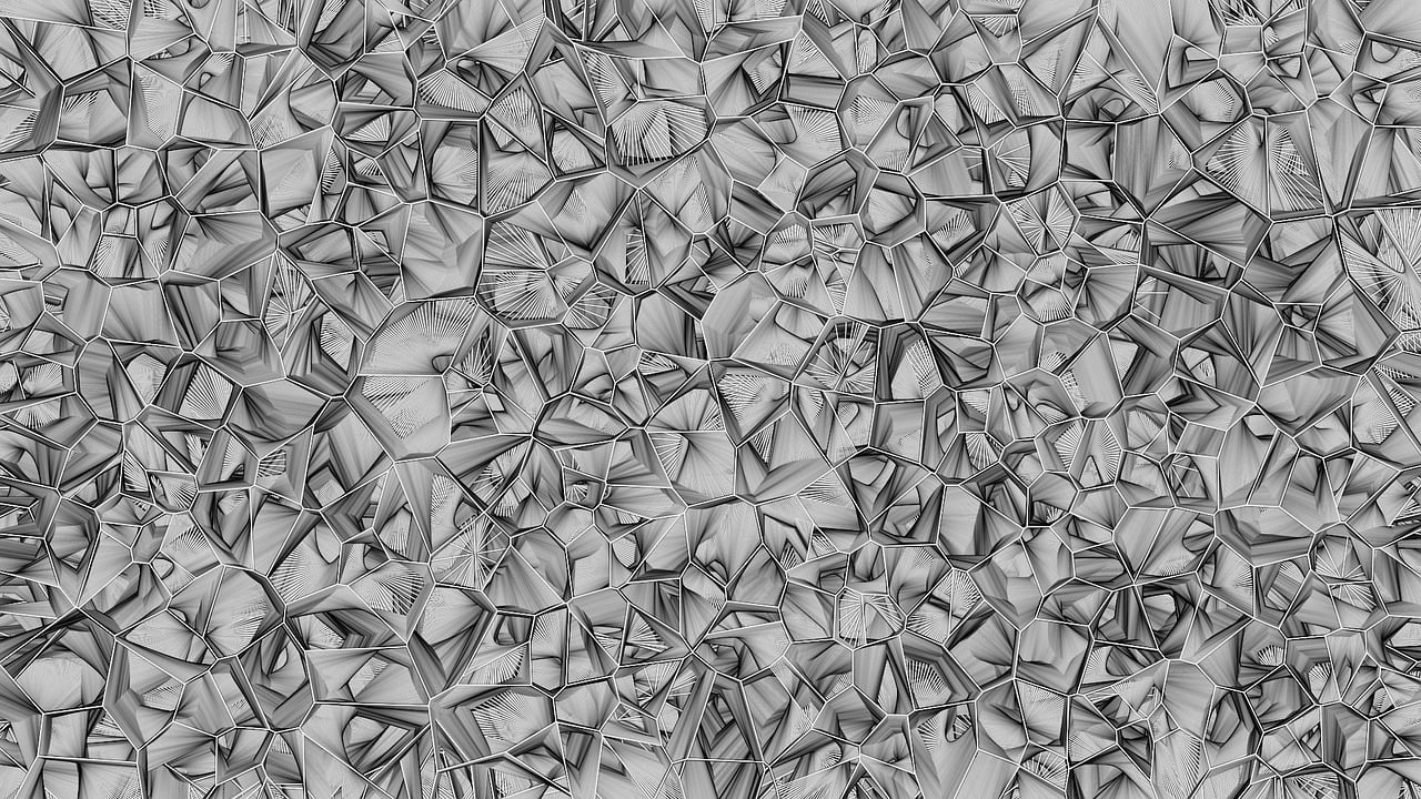 党的政策最新动态，引领新时代的步伐与方向