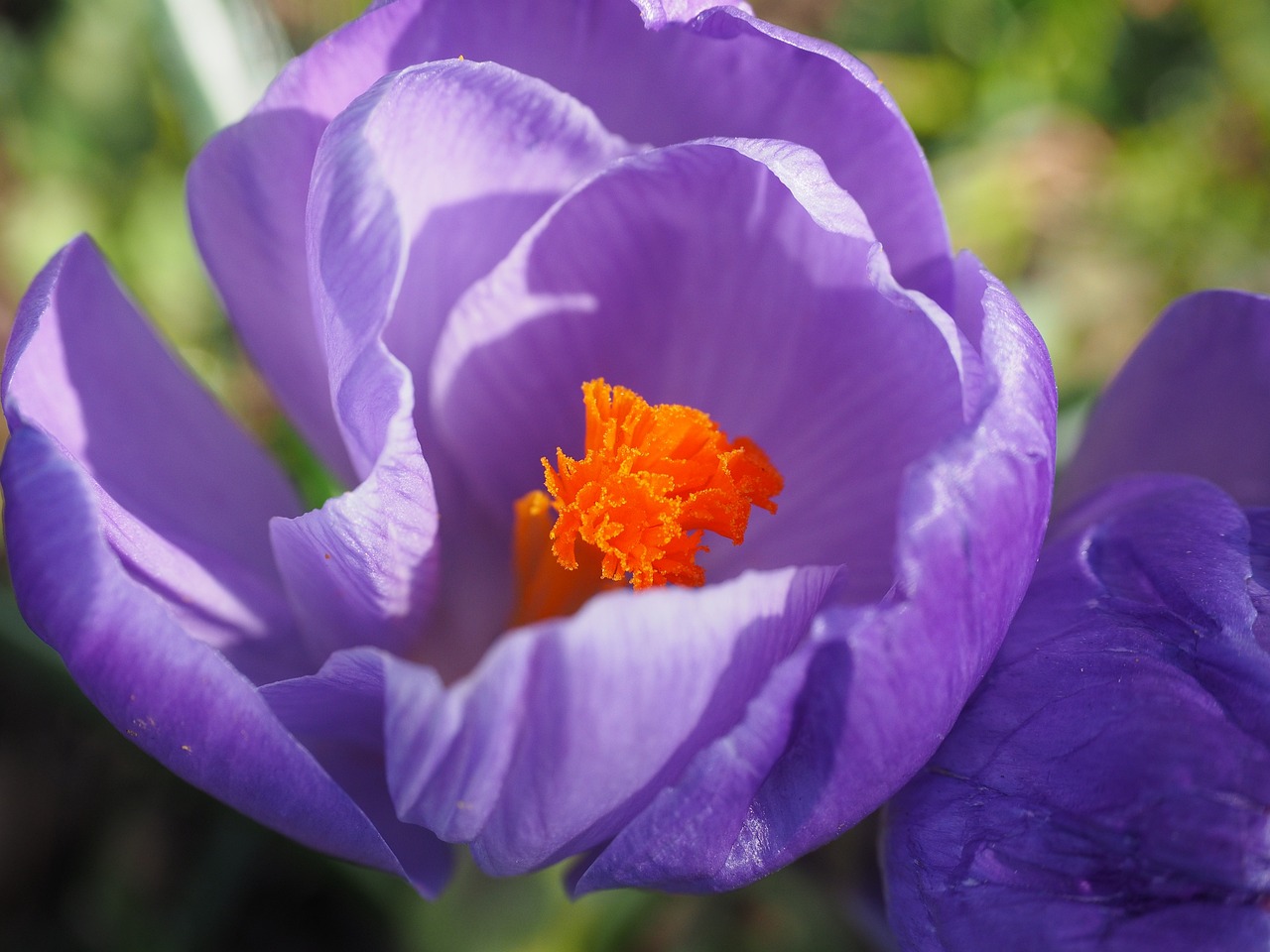 闵行浦江最新发展动态概览