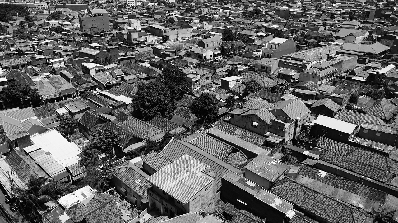 台风鹦鹉最新动态,全方位解读影响及应对措施