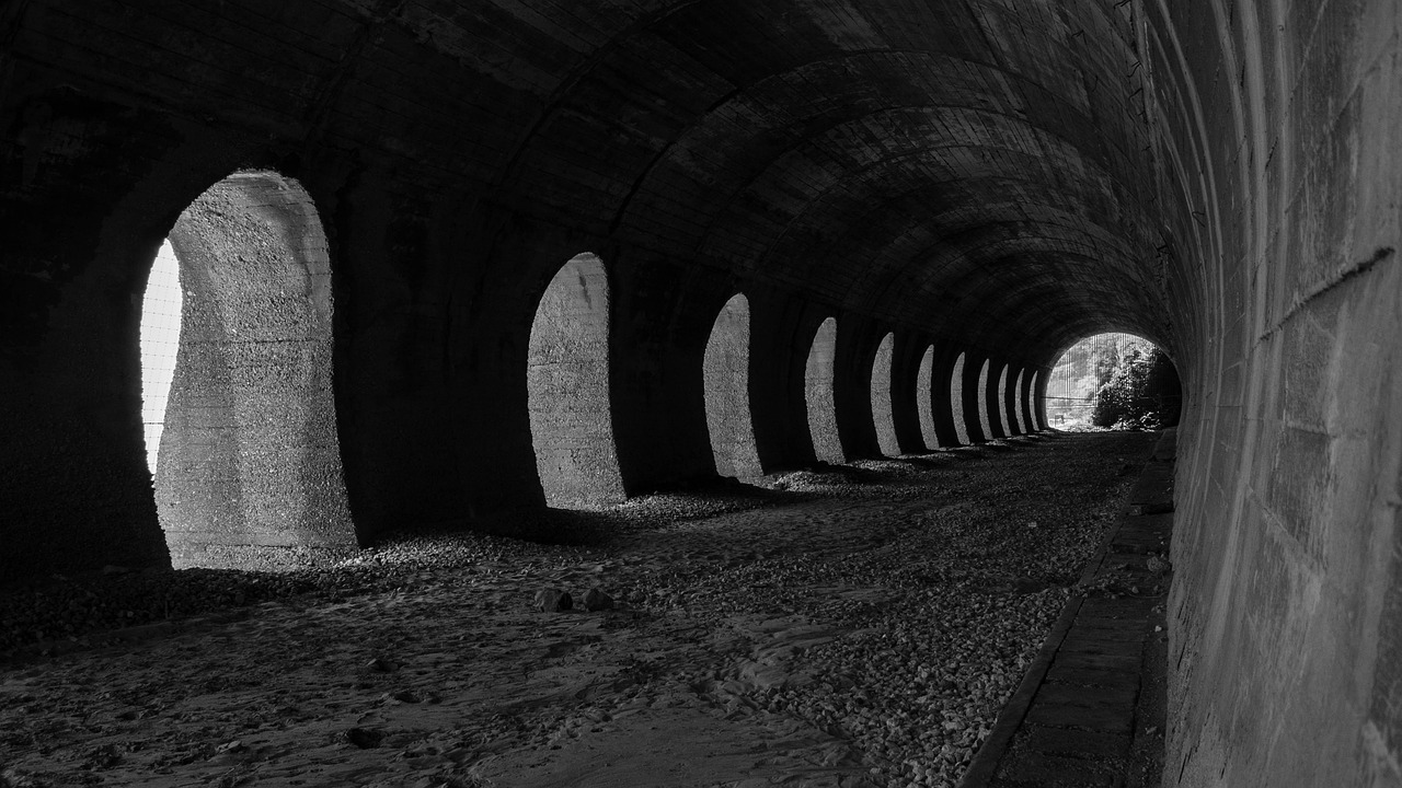 桑一非最新动态与成就,探索未来无限可能之路