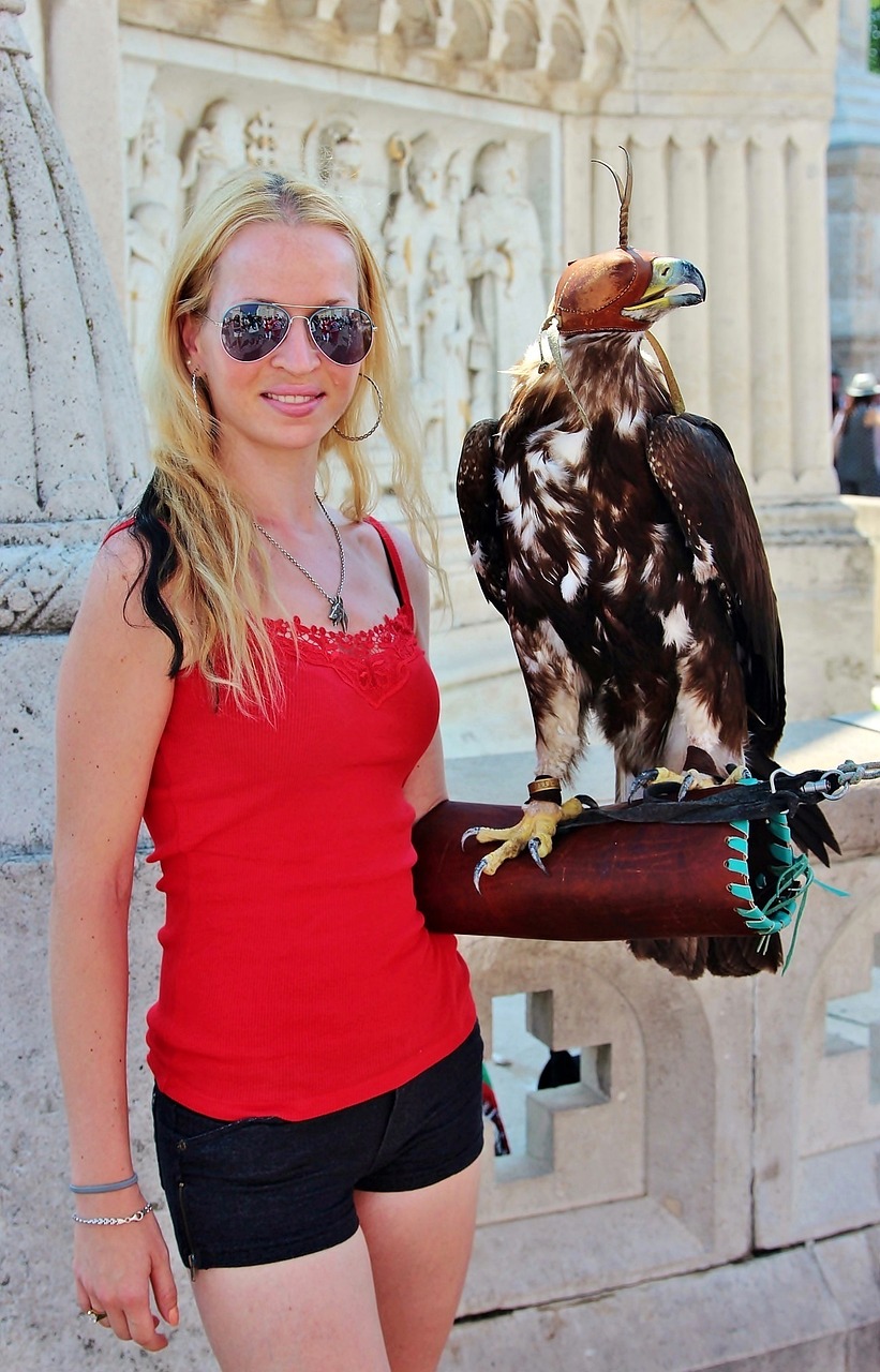 柬埔寨疫情最新动态,挑战与应对策略