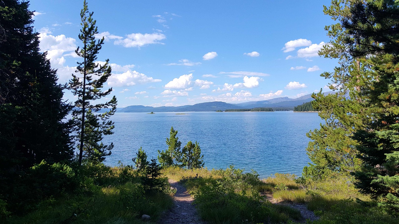 最新最乐秀，探索娱乐新潮流的前沿动态