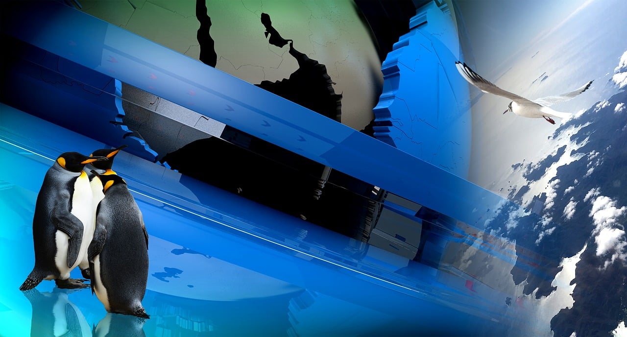 探索最新刺客，刺客世界的新纪元