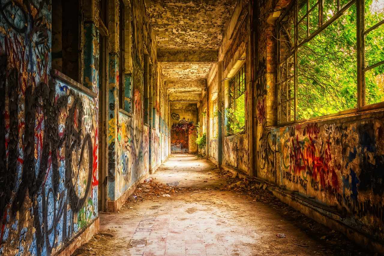 最新万合名著,探索经典之作的魅力