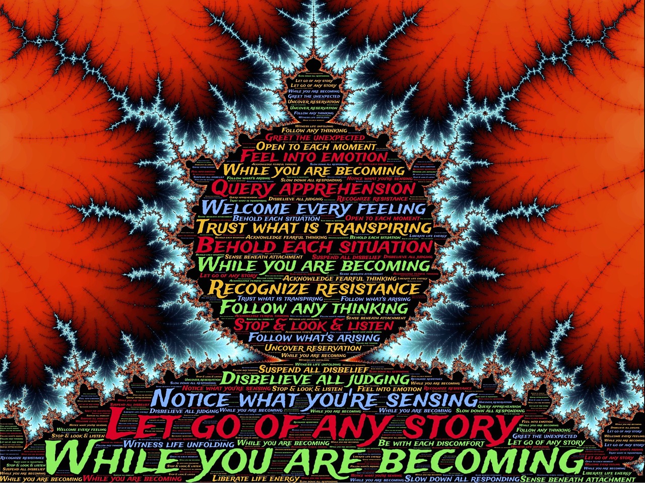 阿宝最新动态,成长、变化与备受瞩目的亮点