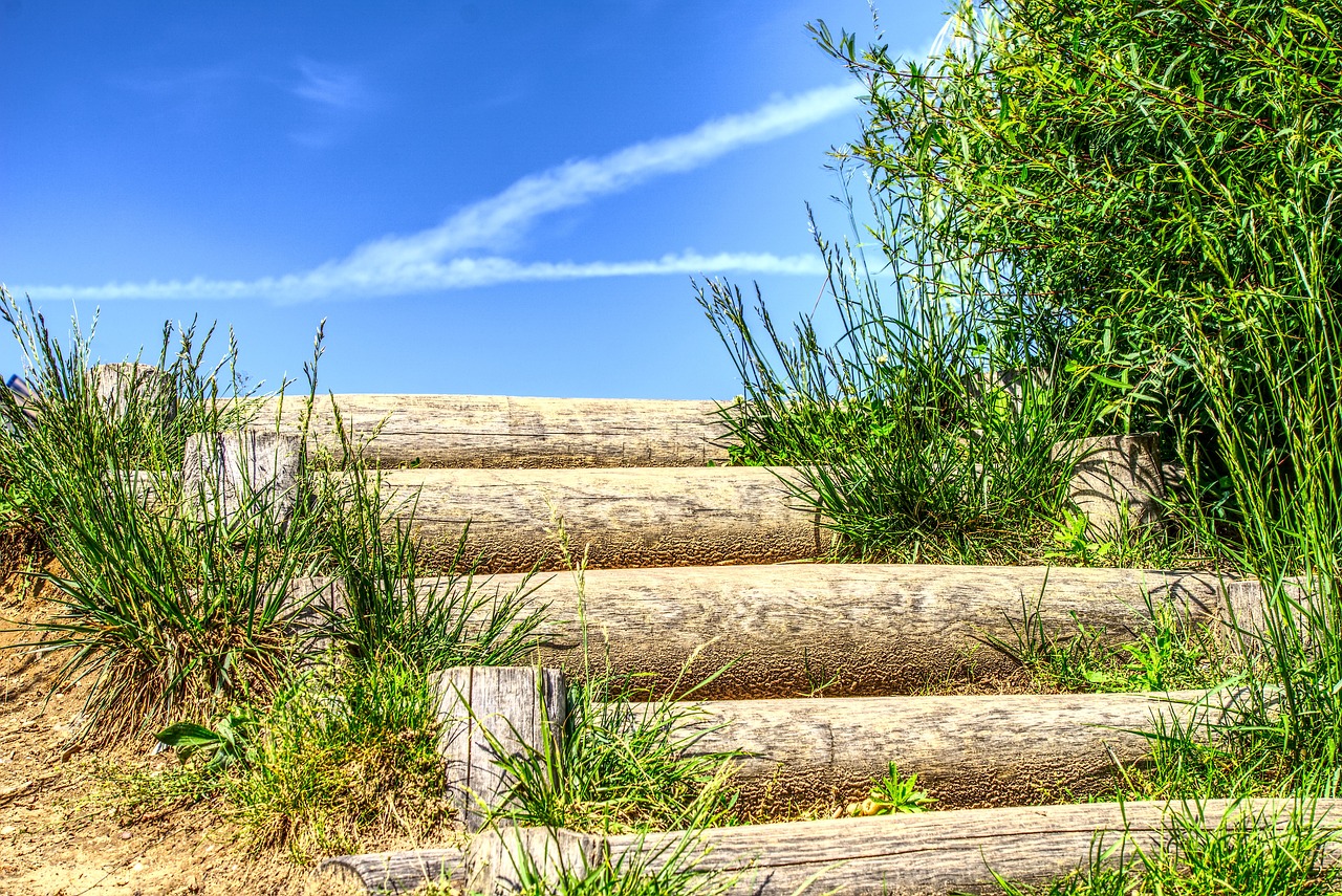 赵丽疑最新动态,闪耀娱乐圈的新星崛起
