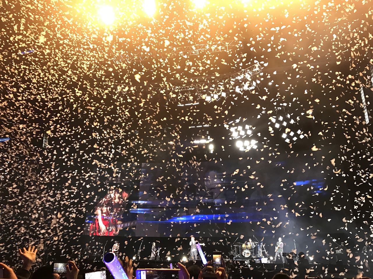 赵丽疑最新动态,闪耀娱乐圈的新星崛起