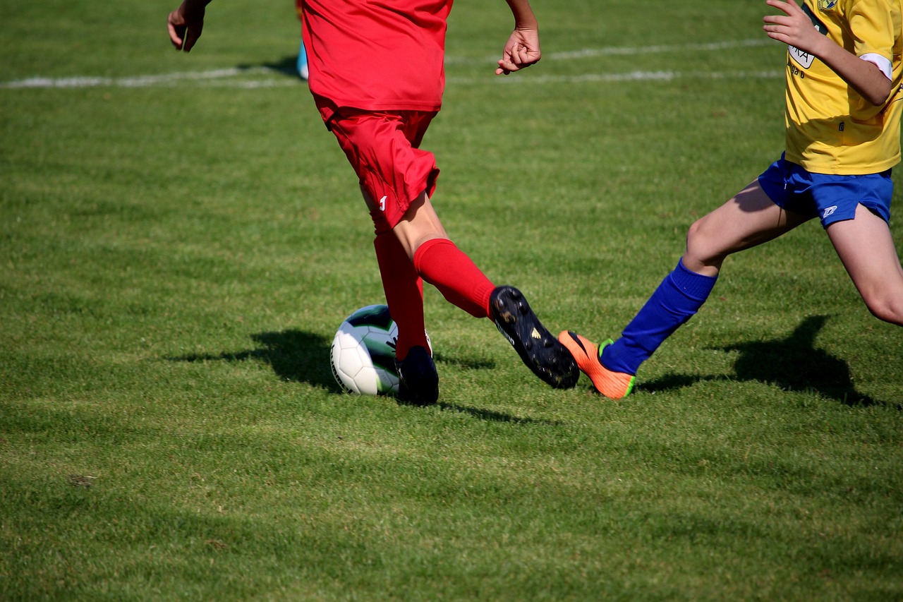 最新英雄联盟转会动态，转会浪潮及其深远影响