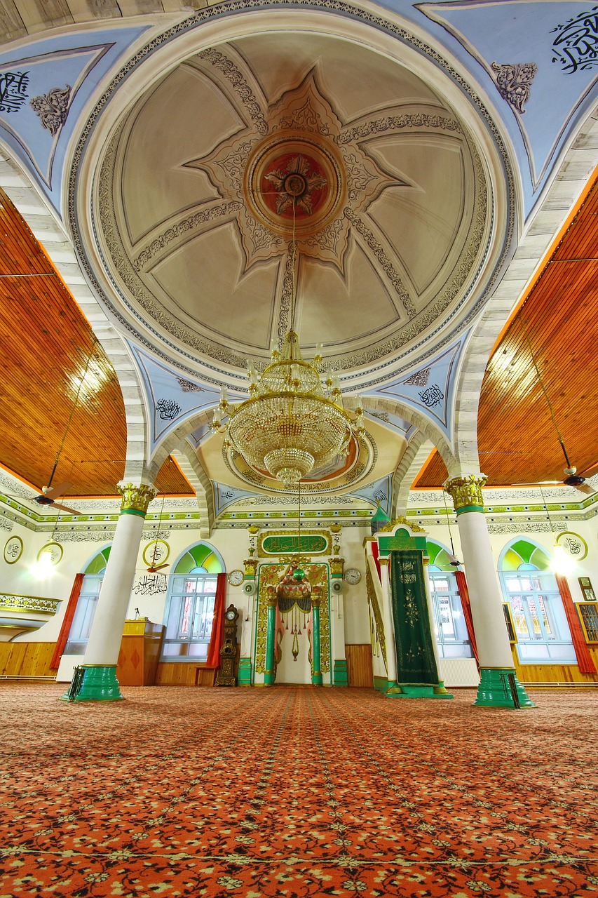 美见App最新动态,重塑视觉体验,引领数字美学潮流