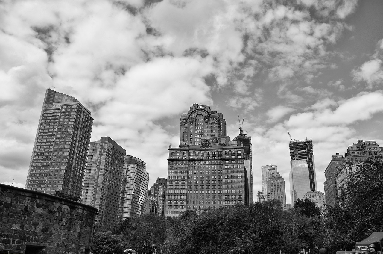 京粮控股的最新动态与发展展望