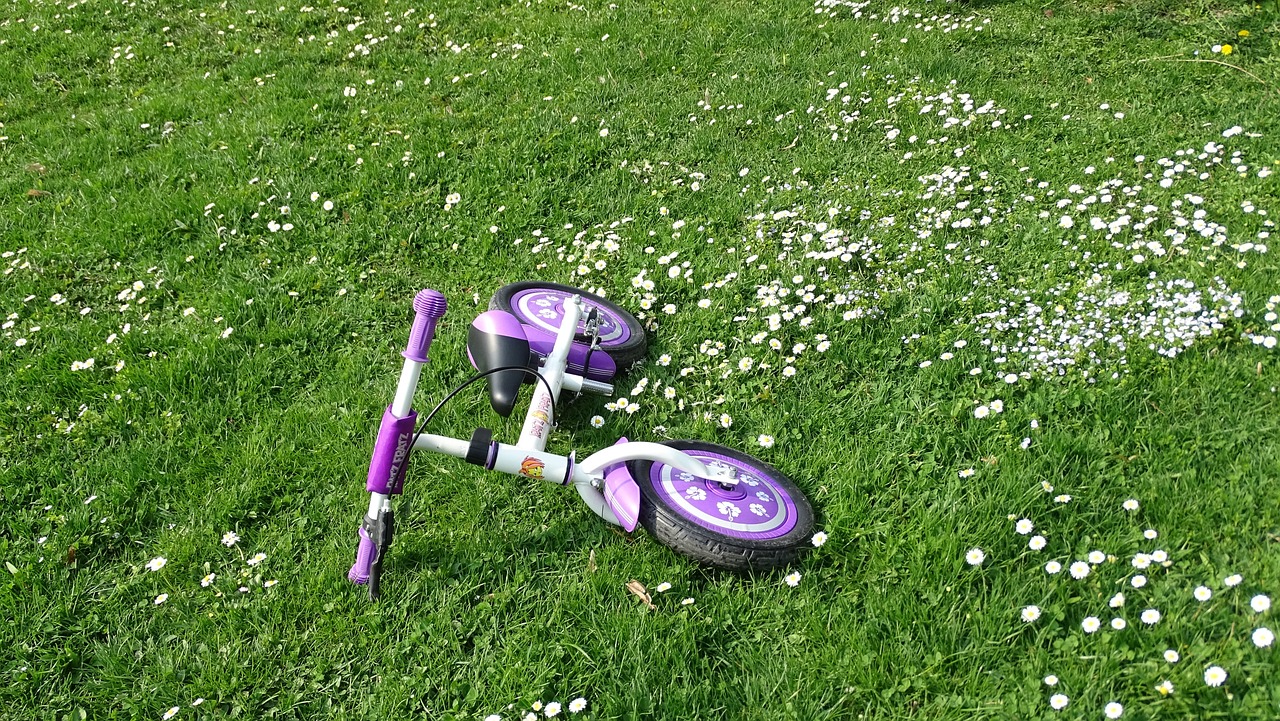 双福复工最新动态,全面复苏与持续发展的探索之路