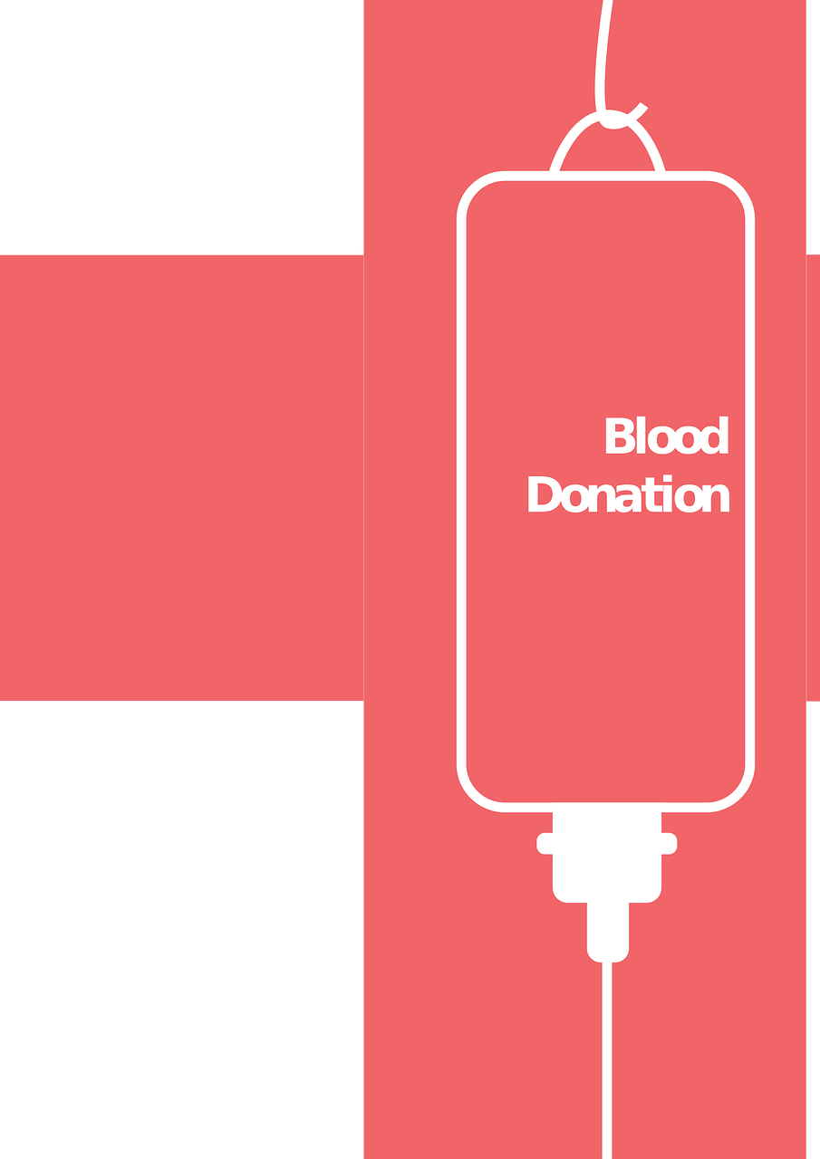 芙蓉楼最新价格动态,市场影响力与市场反应