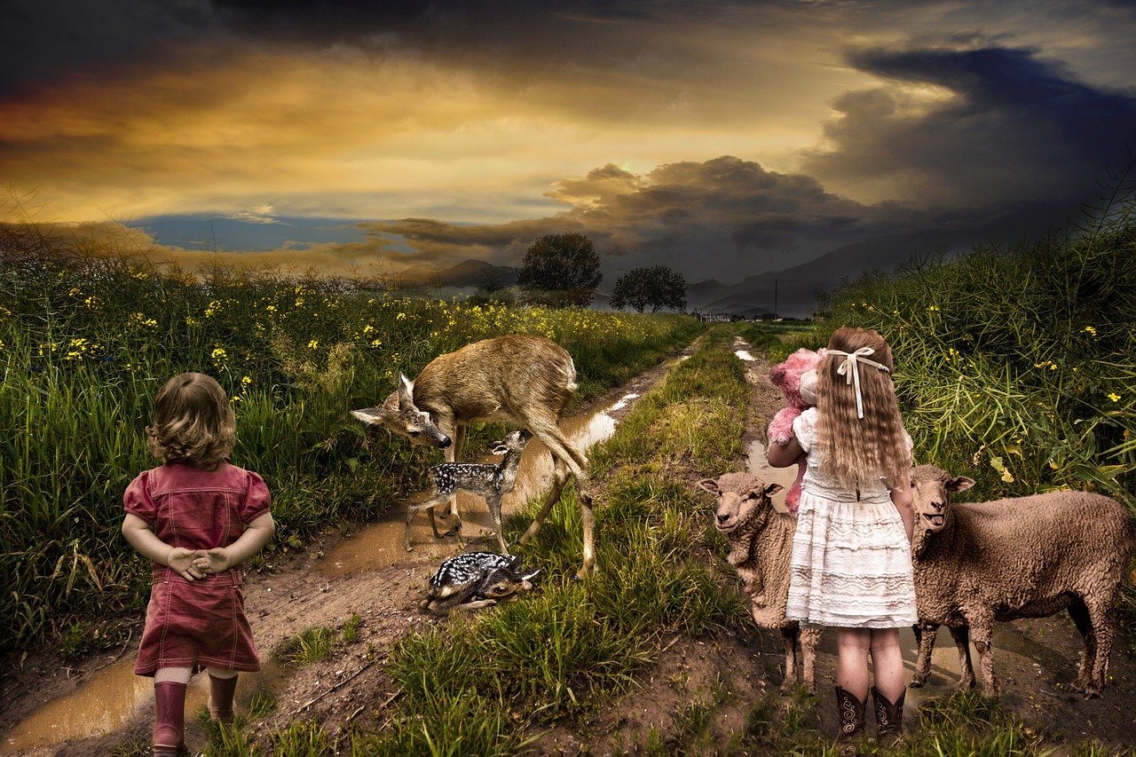 诛仙最新h探索奇幻仙侠世界之旅