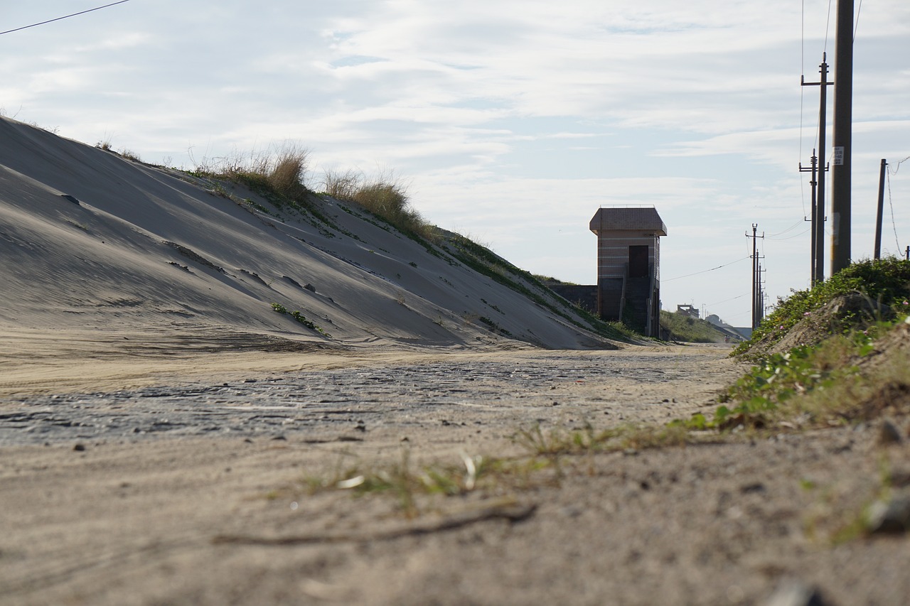 乡村劳作乐趣,最新捡花生视频展现美好劳作场景