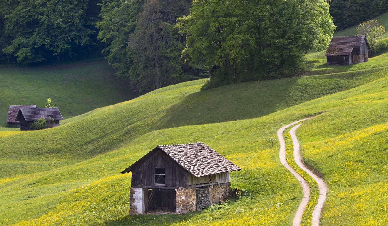 引领农业科技进步,最新化肥网助力绿色可持续发展