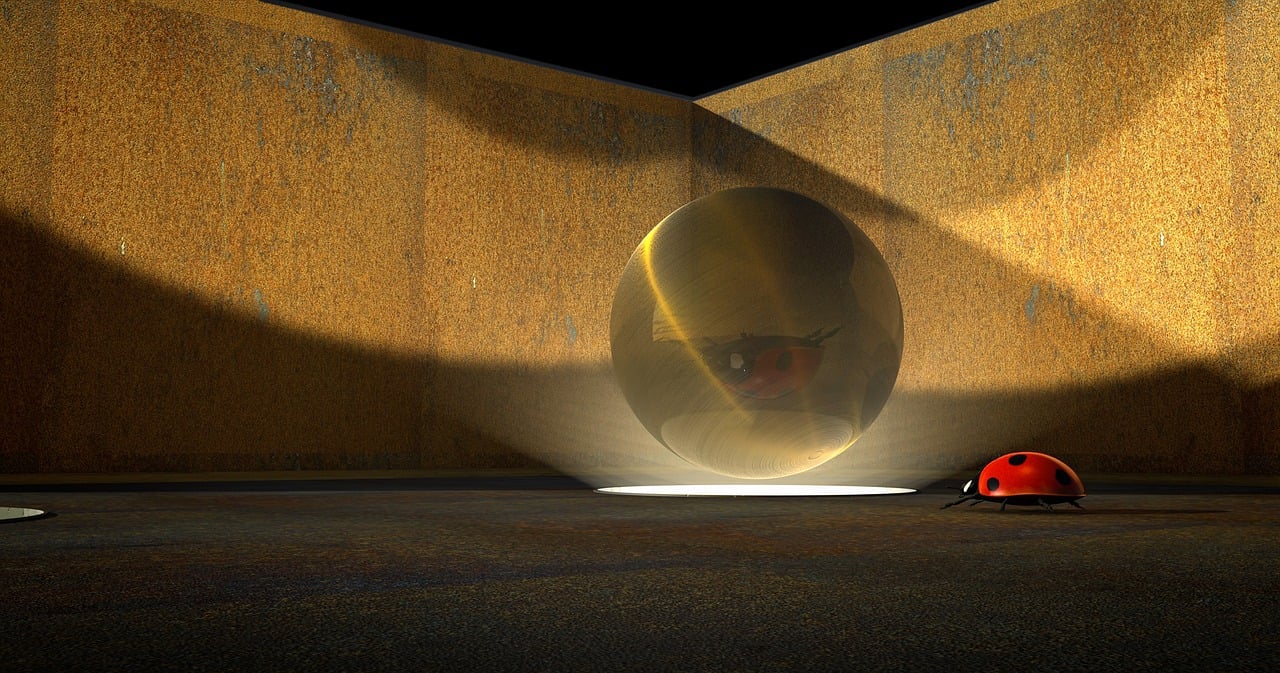 杭州罗薇最新动态,时尚之光照亮潮流舞台