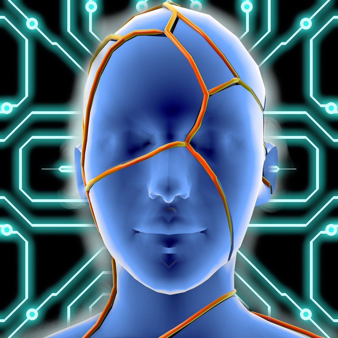 探索推特最新女性影响力,动态、声音与未来展望