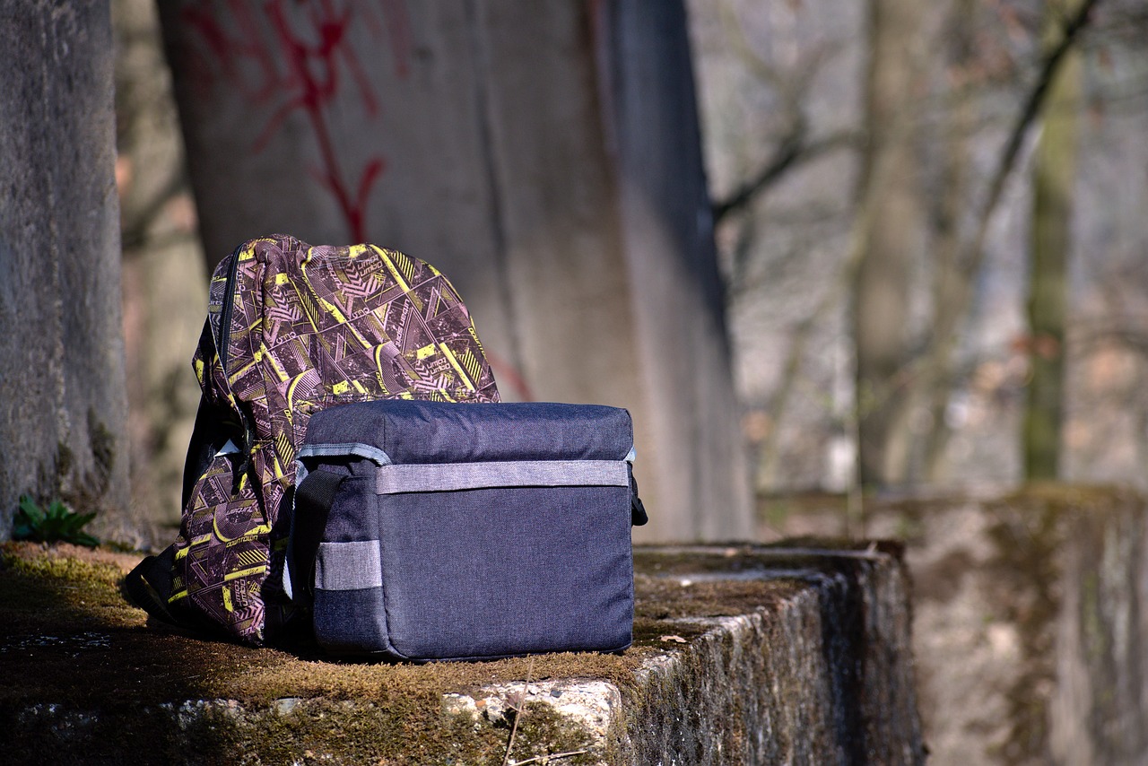 林最新动态探索与发现之旅