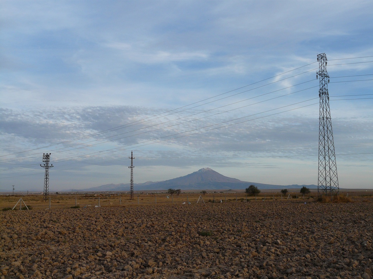 陈重喜的最新动态与成就概览