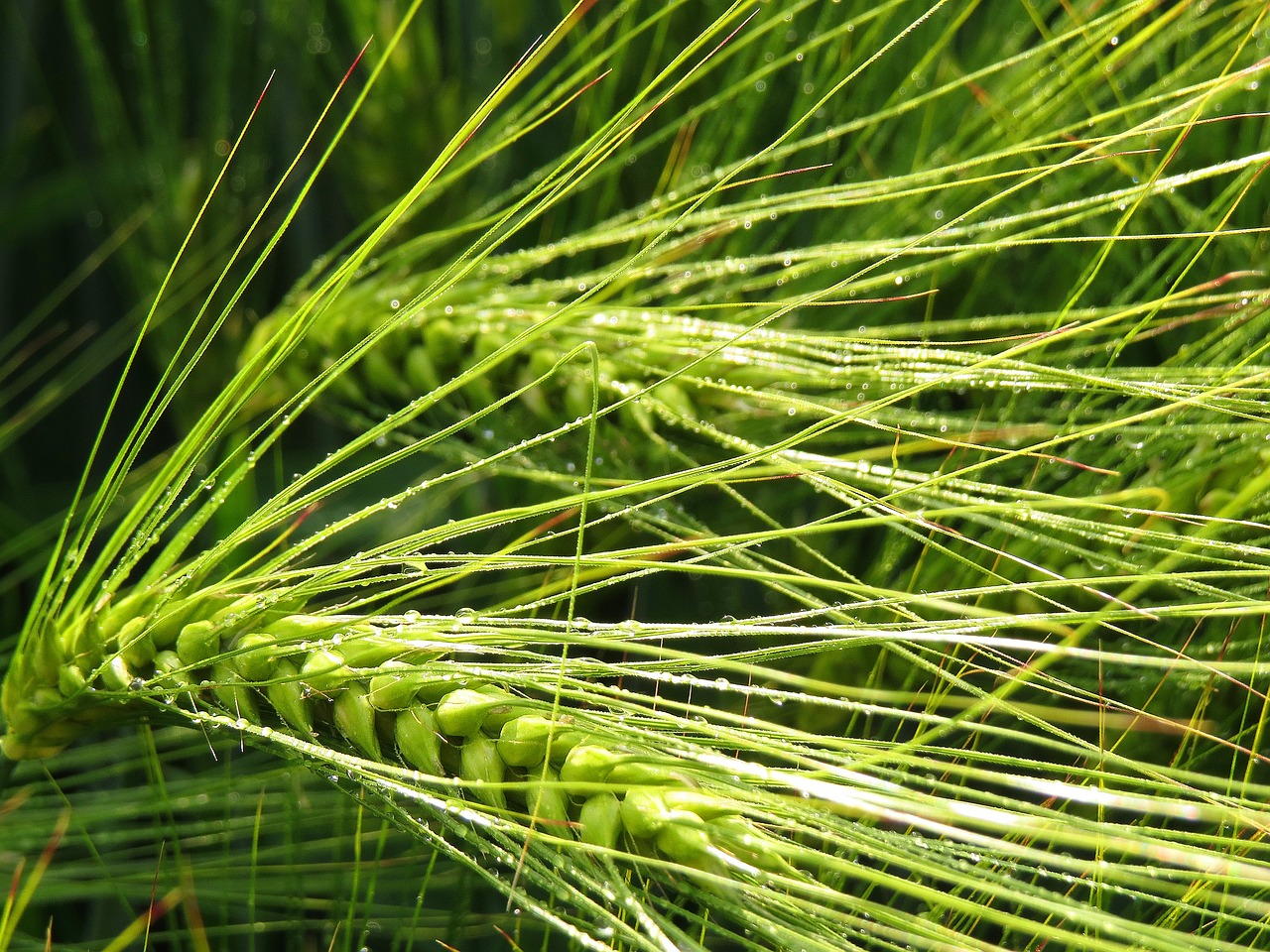 山西复工最新动态,经济复苏与产业振兴取得积极进展