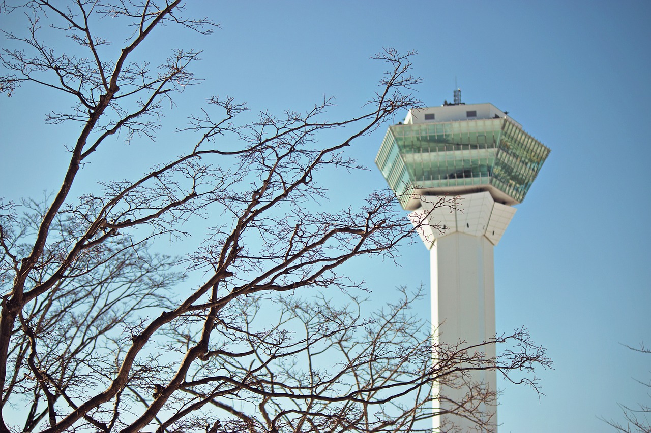 时代变迁下的文艺新风貌探索,最新文艺情况分析